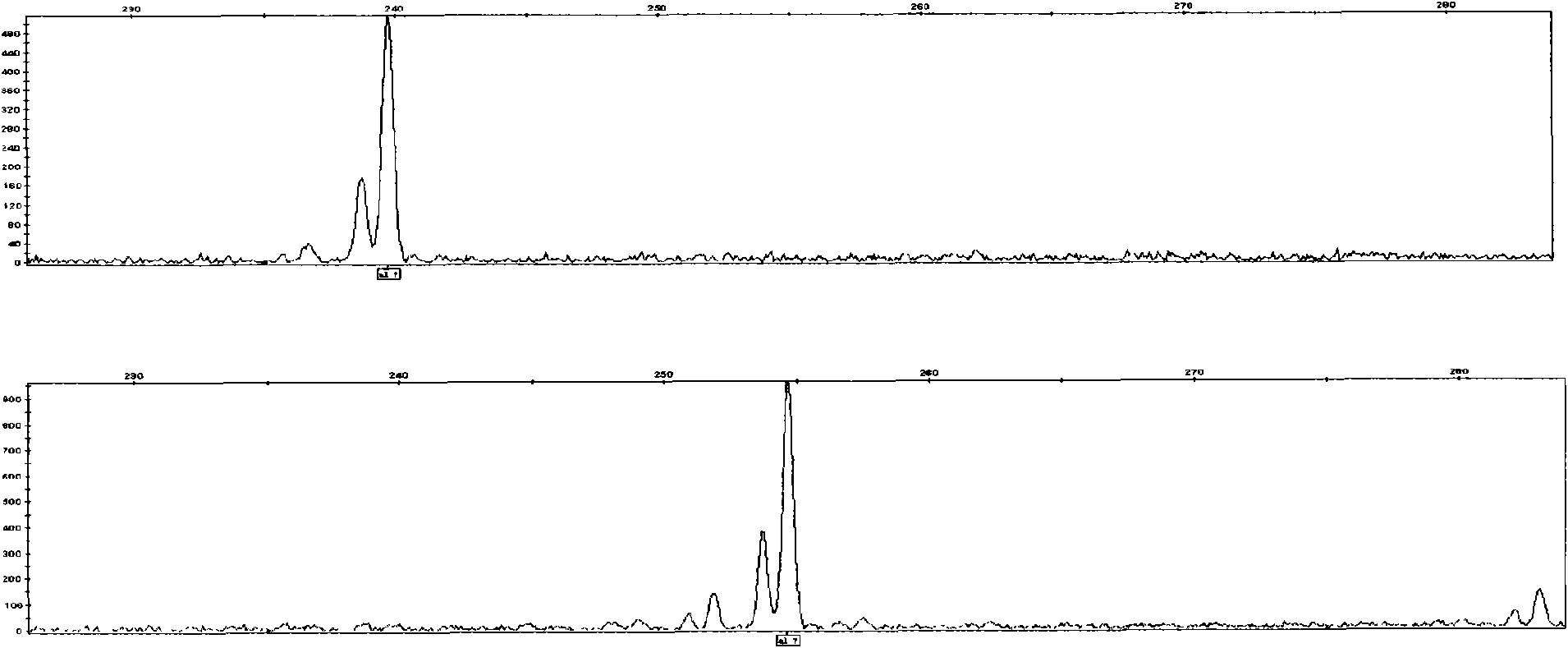 Schistosoma japonicum microsatellite locus and application thereof