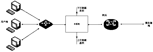 A system for separate processing of data packets