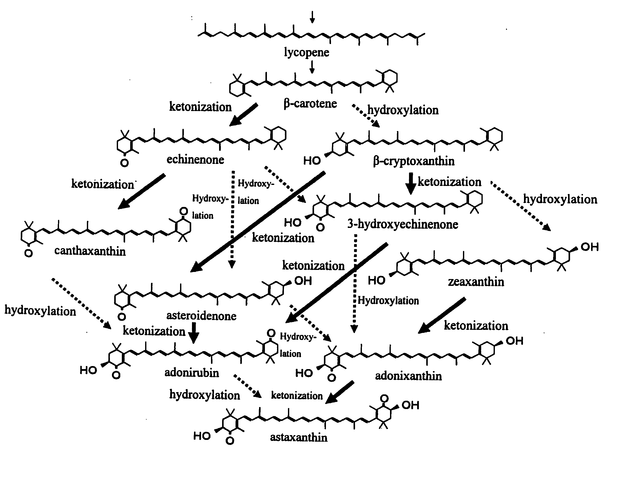 Process for producing carotenoid compound