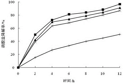 Quinones-modified biological vector and application thereof in accelerating microbial denitrifying process