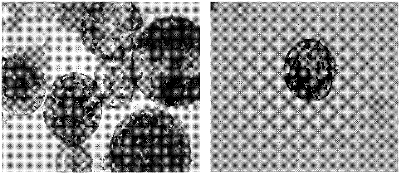 Magnetic immobilized cross-linking cellulase aggregates (CLEAs), preparation method and application thereof