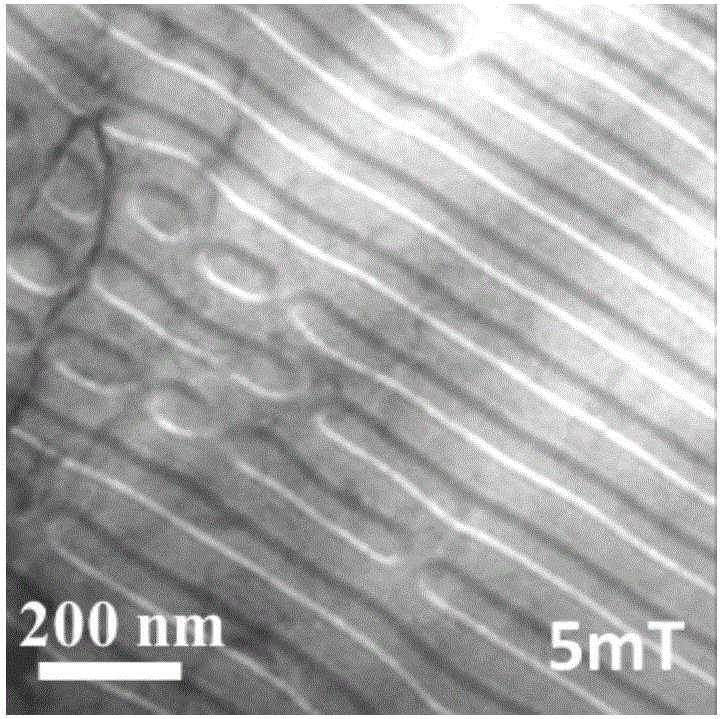 Regulation and control method for Skyrmion in hexagonal MnNiGa