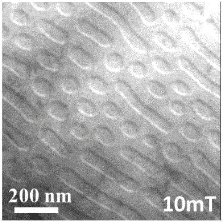 Regulation and control method for Skyrmion in hexagonal MnNiGa