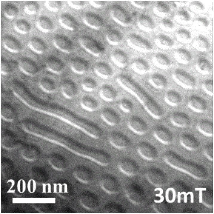 Regulation and control method for Skyrmion in hexagonal MnNiGa