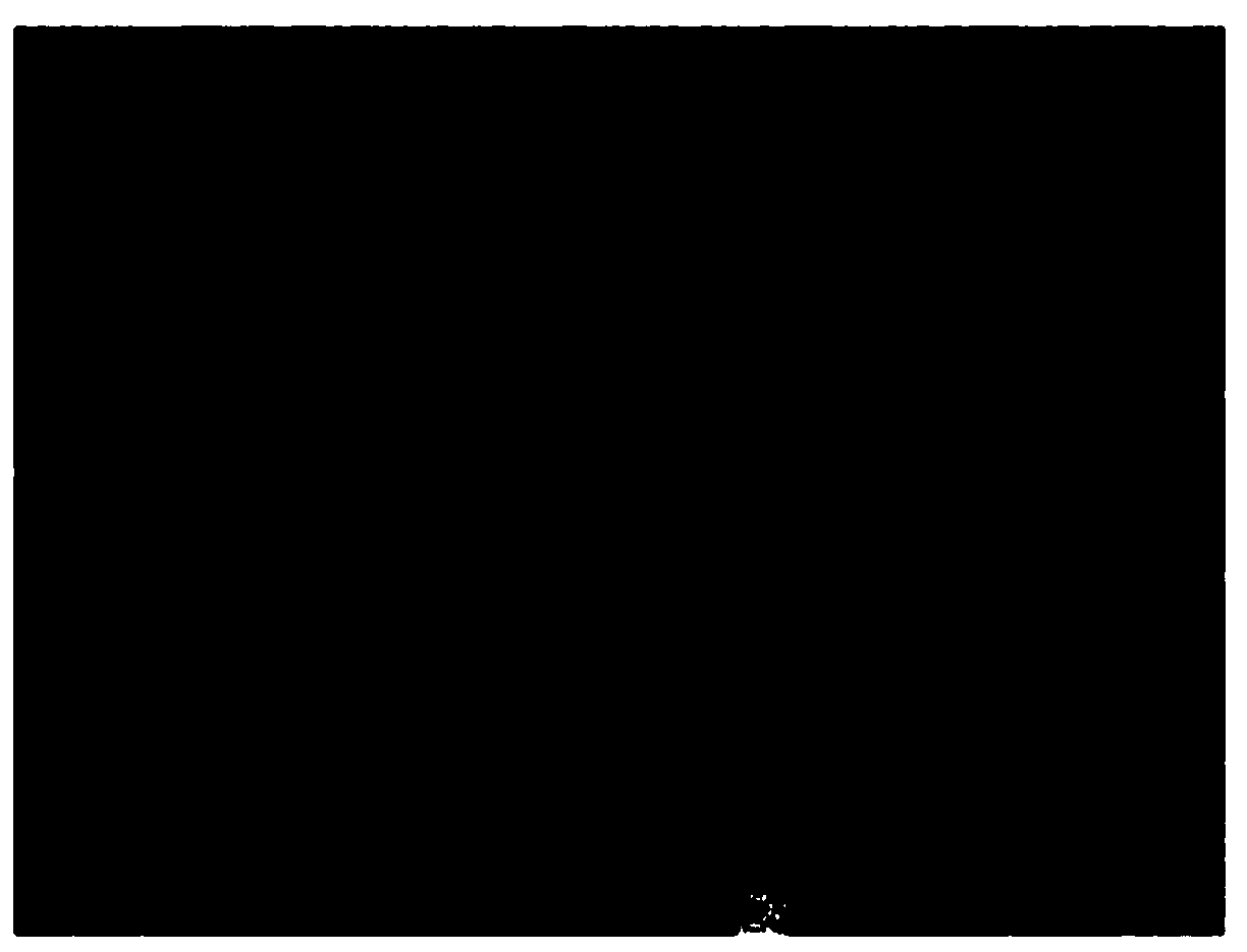 Core-shell particles for use as filler for feeder compositions