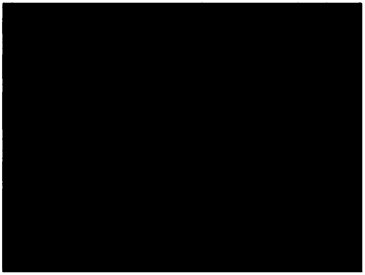 Core-shell particles for use as filler for feeder compositions