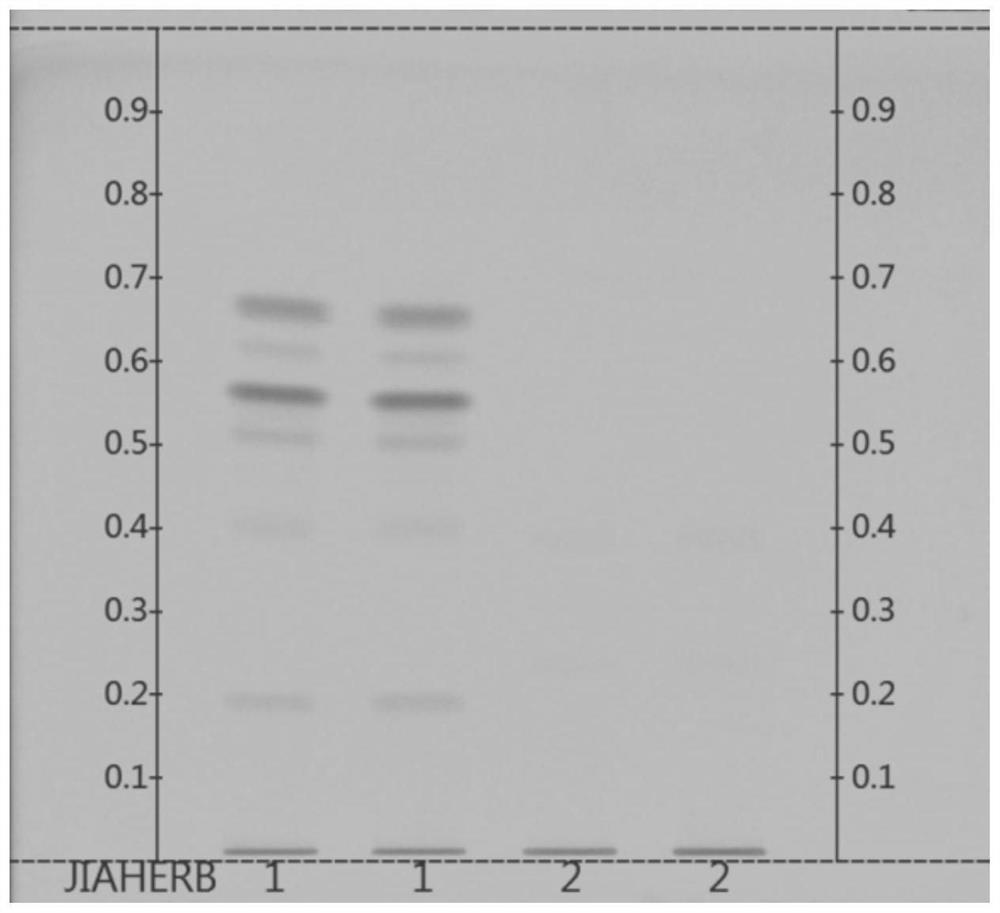 Thin-layer chromatography identification method for distinguishing antrodia camphorata and camphorwood