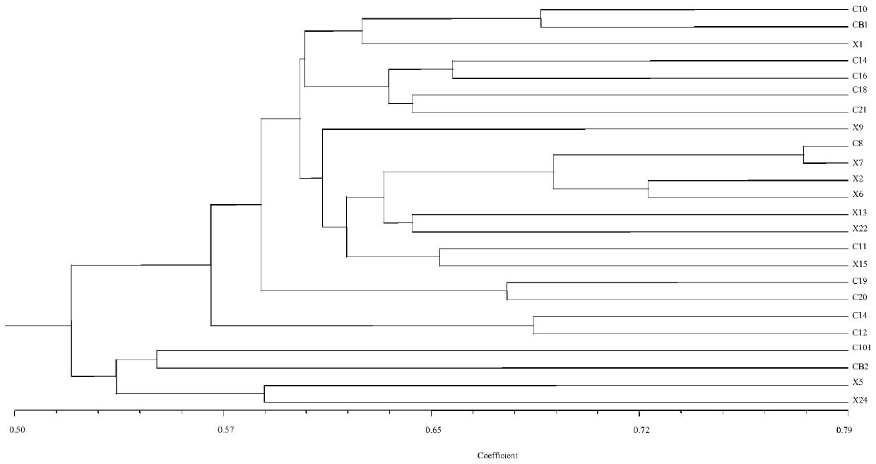 A method for early sex identification of open-pollination progeny of 'hort 16A' kiwifruit