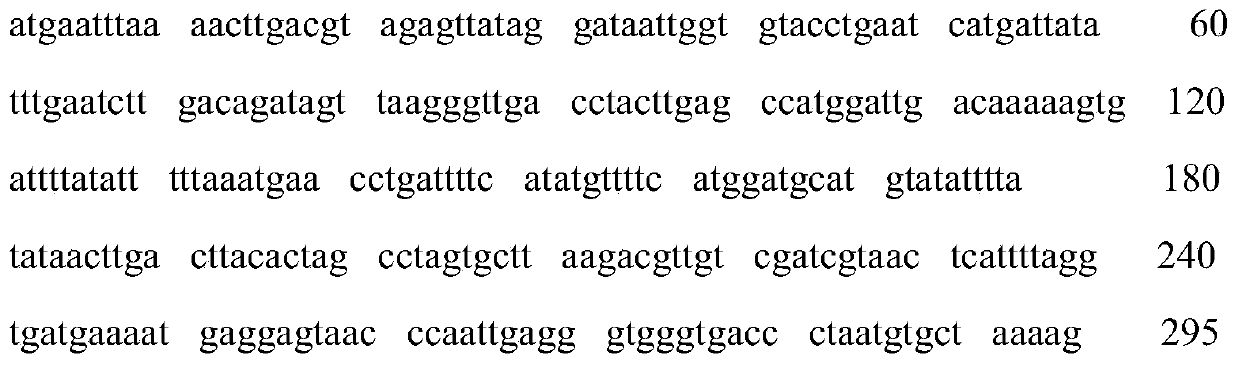 A method for early sex identification of open-pollination progeny of 'hort 16A' kiwifruit