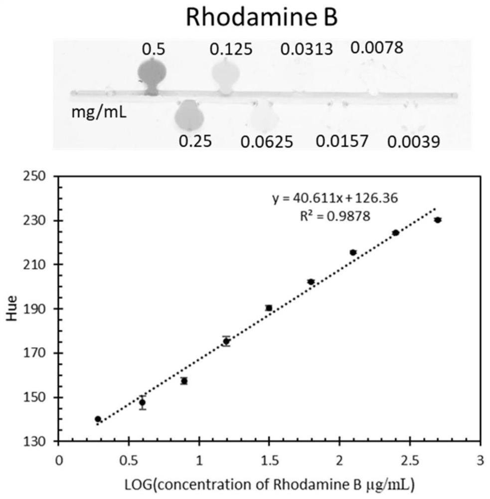 Concentration gradient chip and method for detecting drug sensitivity of bacteria