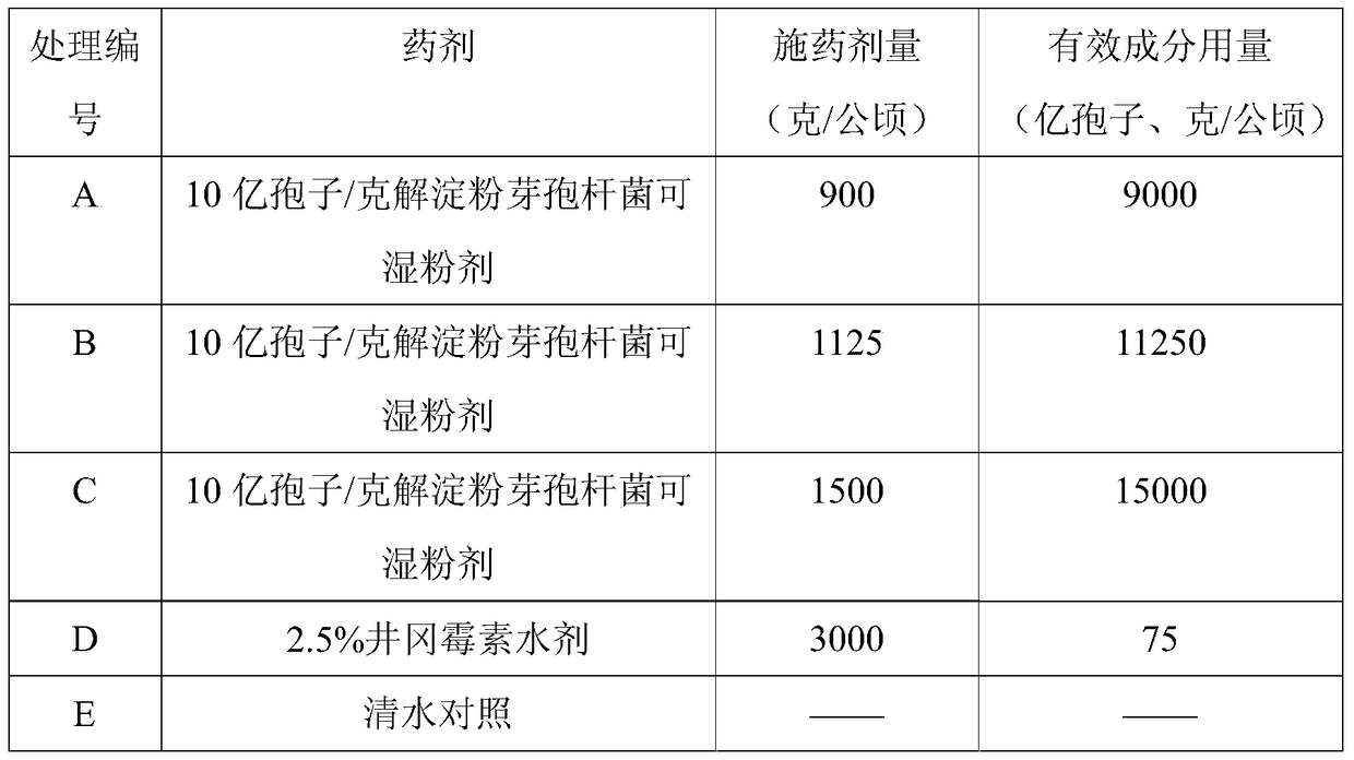 A strain of Bacillus amyloliquefaciens and its application in the control of rice false smut