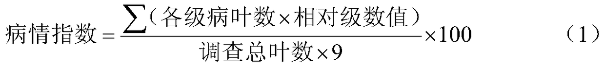 A strain of Bacillus amyloliquefaciens and its application in the control of rice false smut