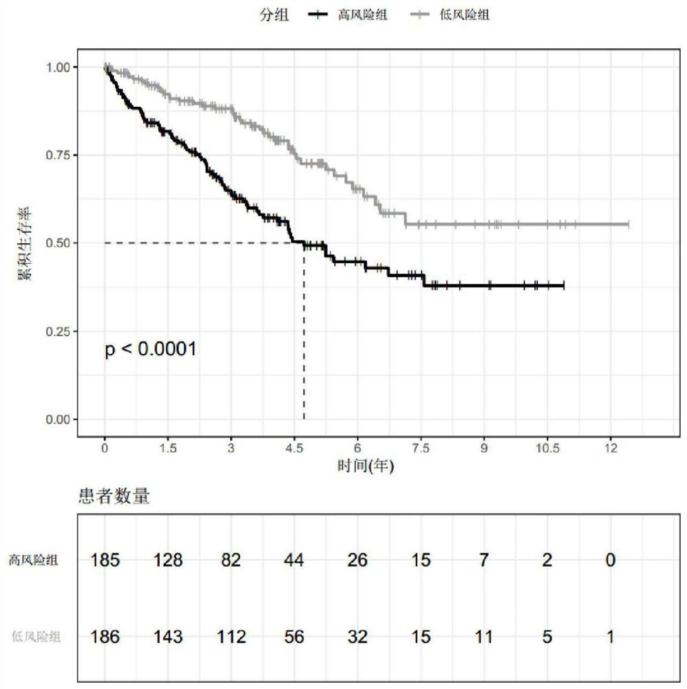 Use of biomarkers for predicting prognosis of renal cell carcinoma