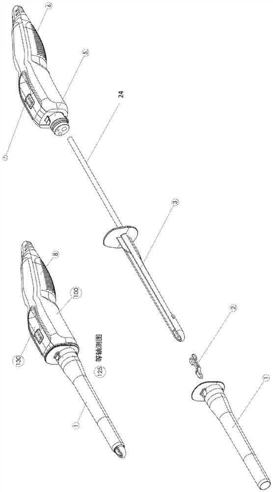 Digital endoscope