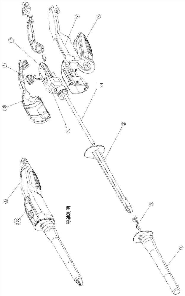 Digital endoscope