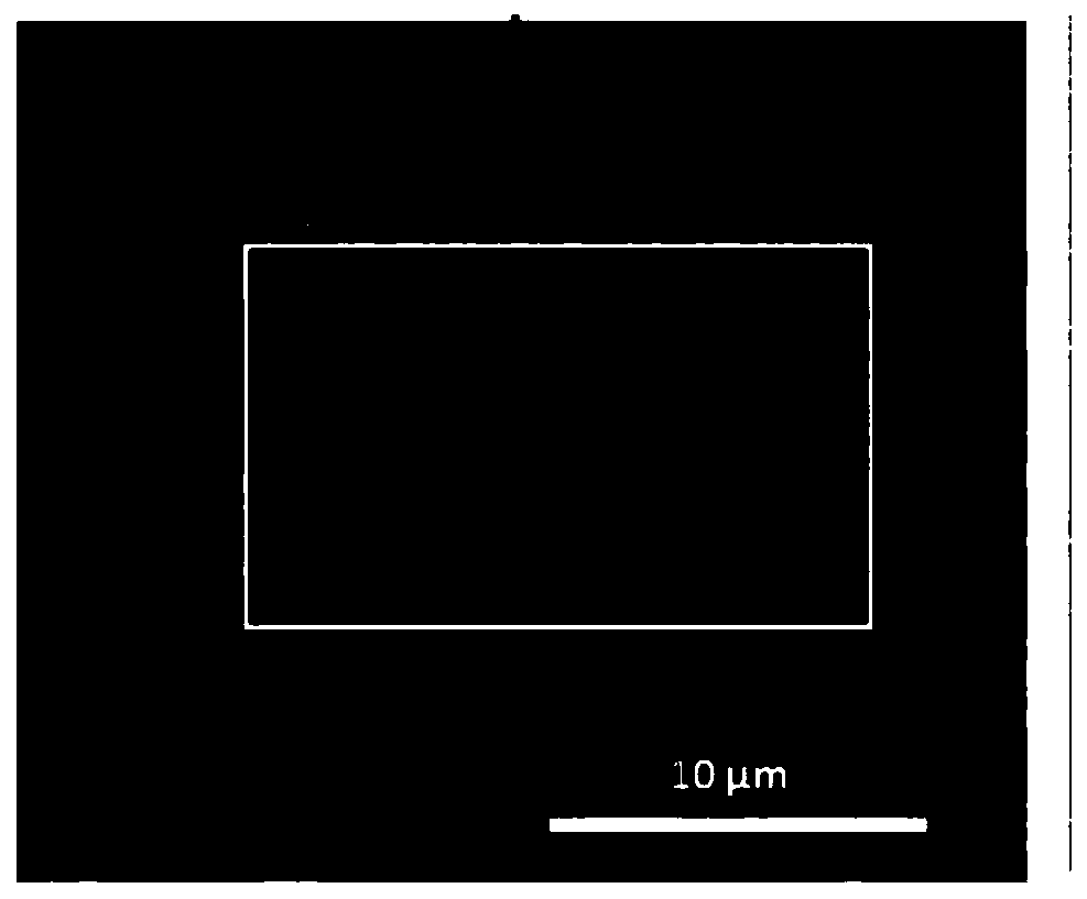 Lithium negative electrode or sodium negative electrode and preparation method and application of lithium negative electrode or sodium negative electrode