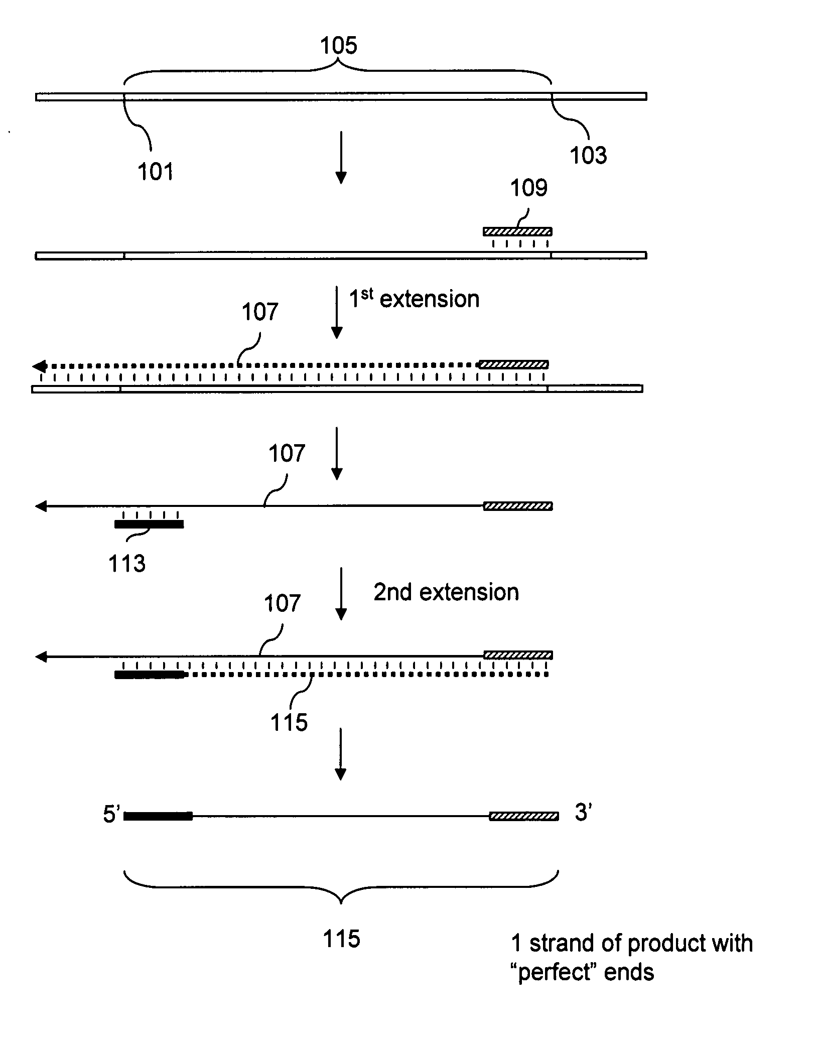 Methods of Analysis of Methylation