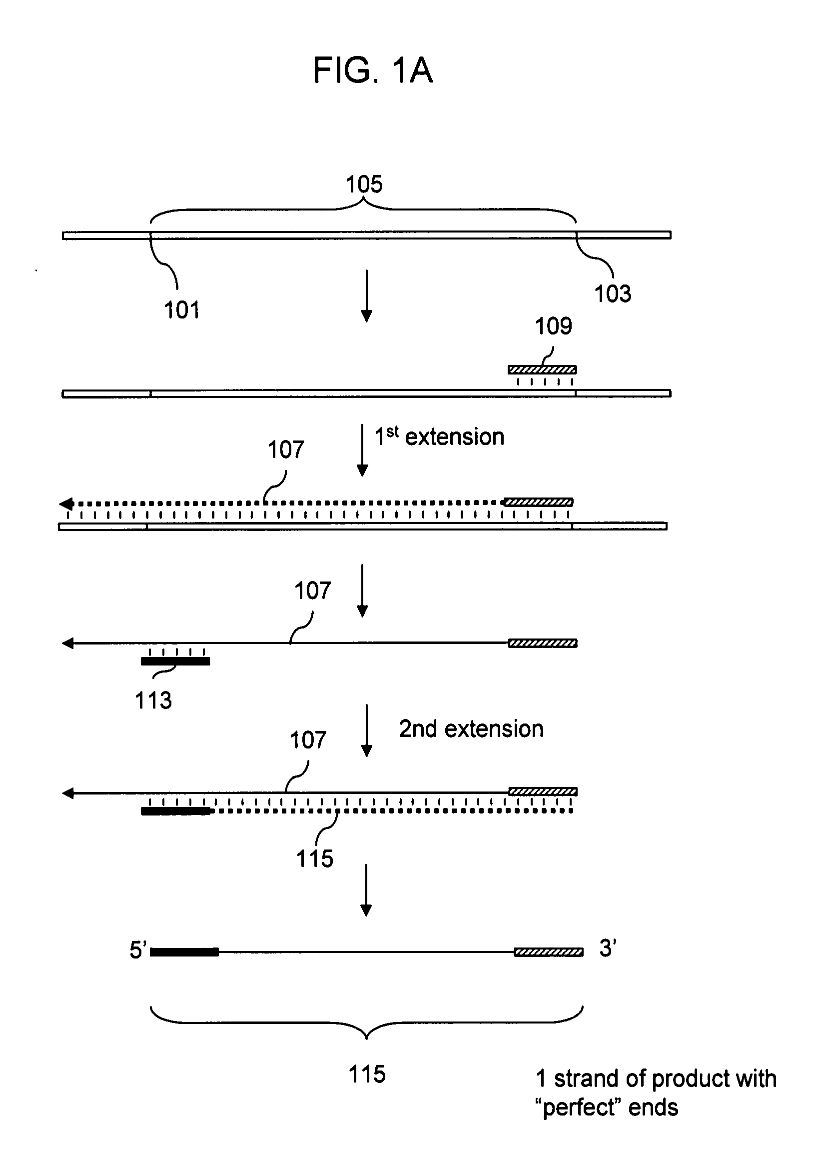 Methods of Analysis of Methylation