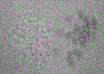 Graphene oxide/chitosan porous composite microspheres and preparation method as well as application thereof