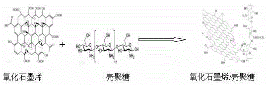 Graphene oxide/chitosan porous composite microspheres and preparation method as well as application thereof