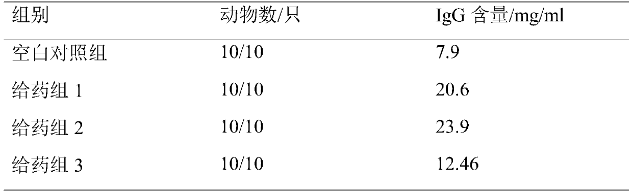 Andrias davidianus protein peptide health-care capsule and preparation method thereof