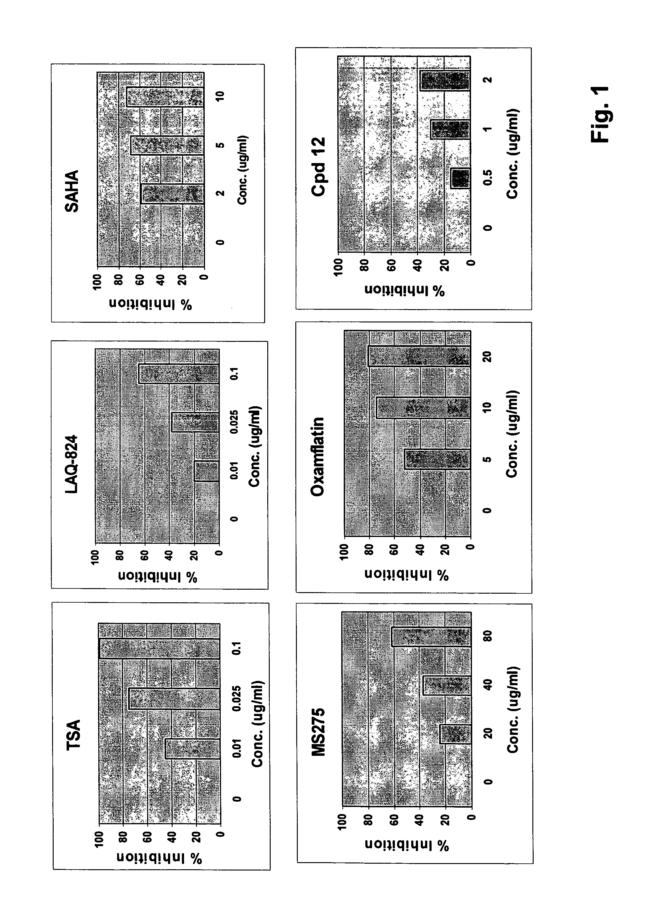 Histone deacetylase inhibitors for enhancing activity of antifungal agents