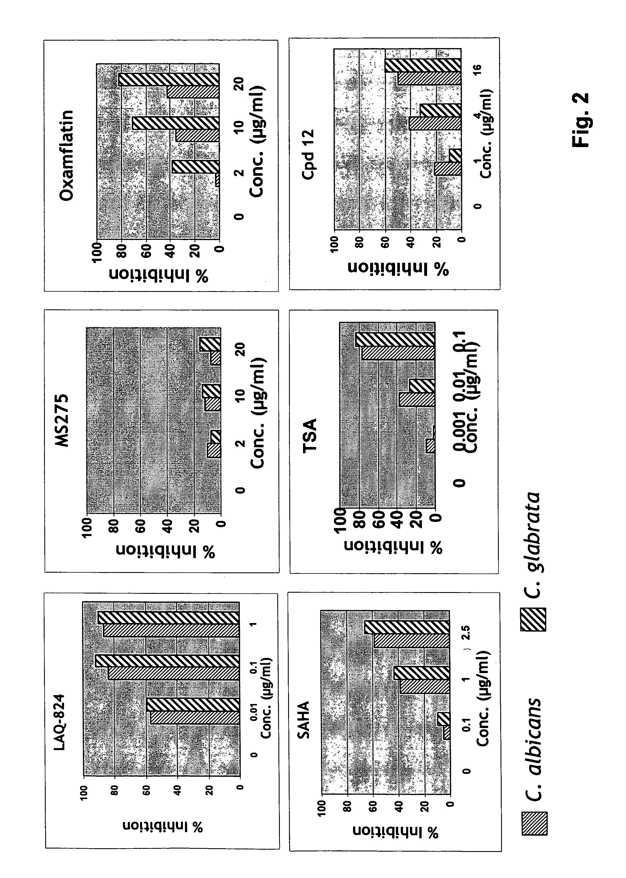 Histone deacetylase inhibitors for enhancing activity of antifungal agents