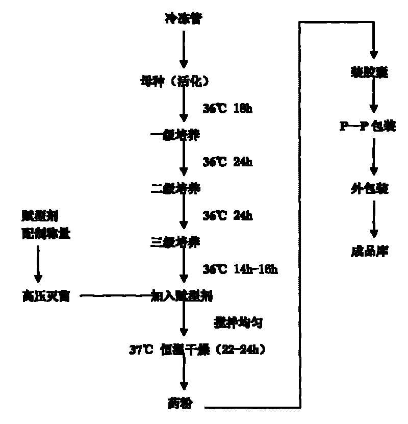 Lactobacillus vaginal capsule and preparation method thereof