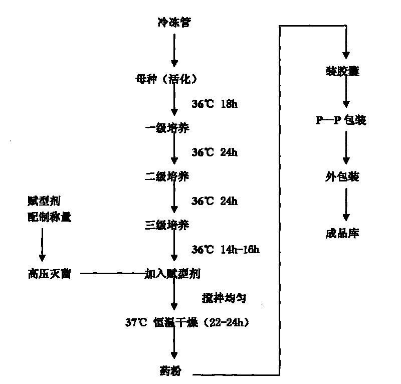 Lactobacillus vaginal capsule and preparation method thereof