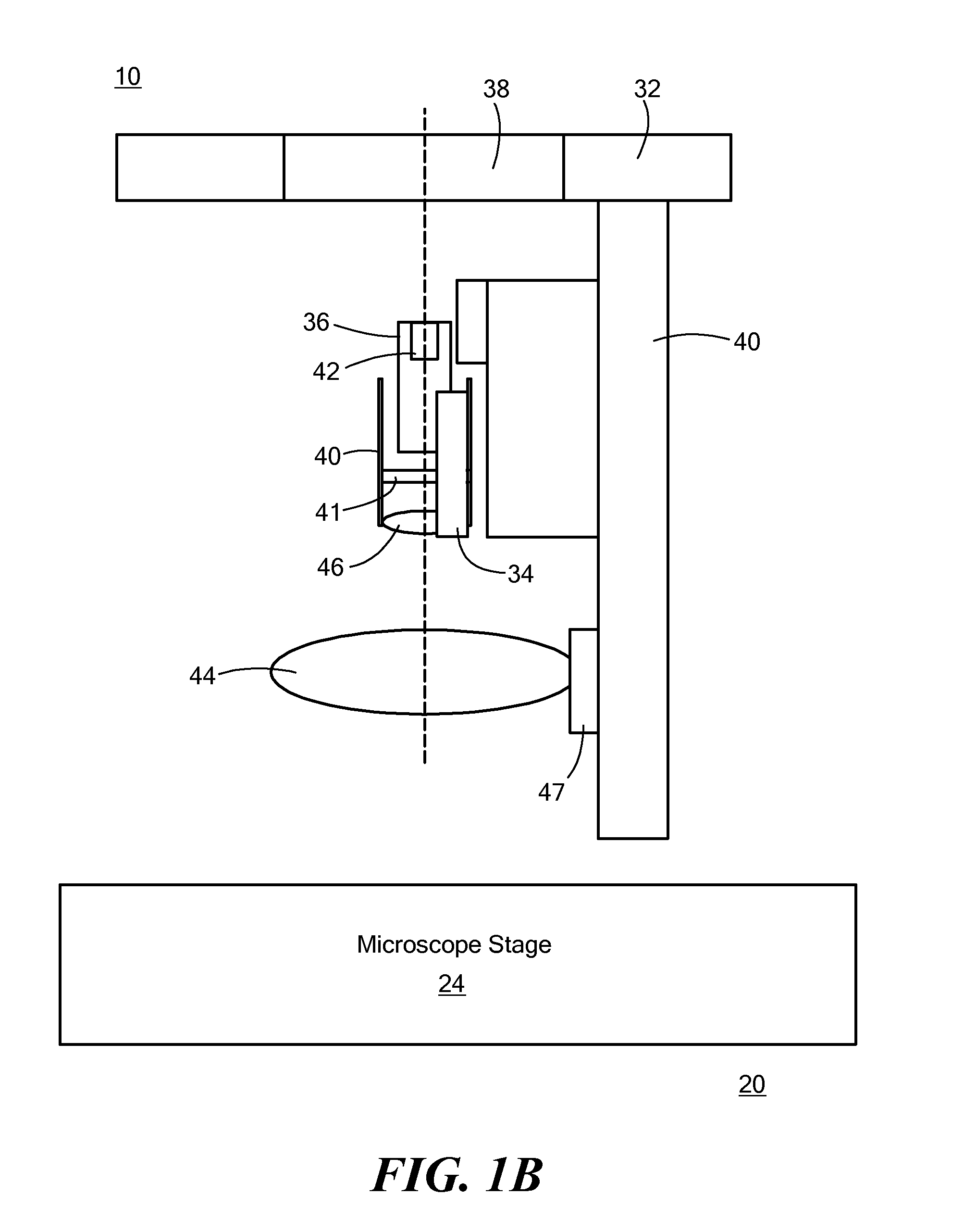 Microscope accessory and microplate apparatus for measuring phosphorescence and cellular oxygen consumption