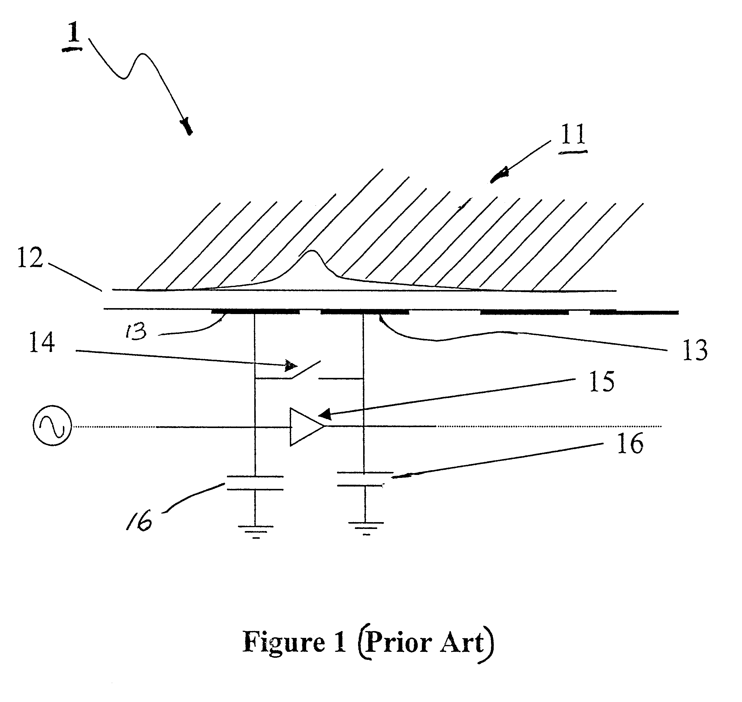 Capacitive circuit array for fingerprint sensing