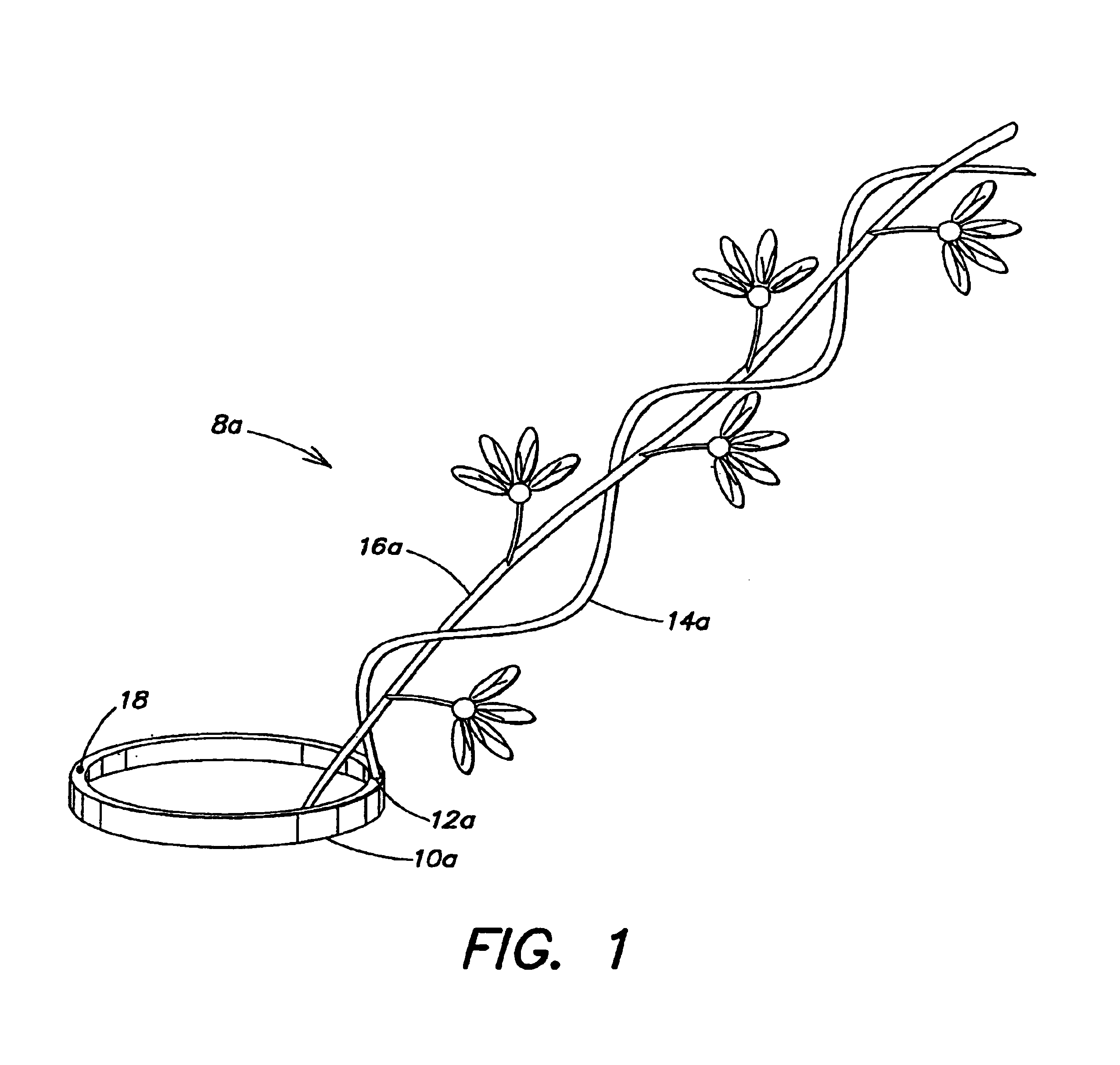 Apparatus for displaying culinary, horticultural or floral items