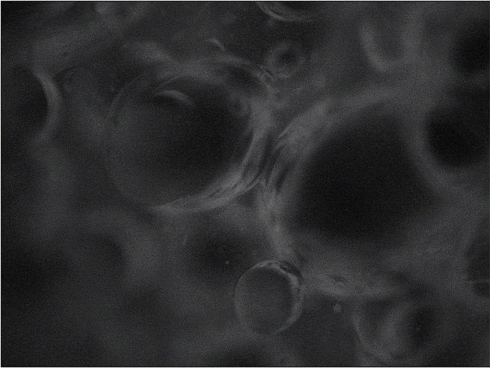 Fluorescent graft degradable block polyurethane, bone repair material and preparation method thereof