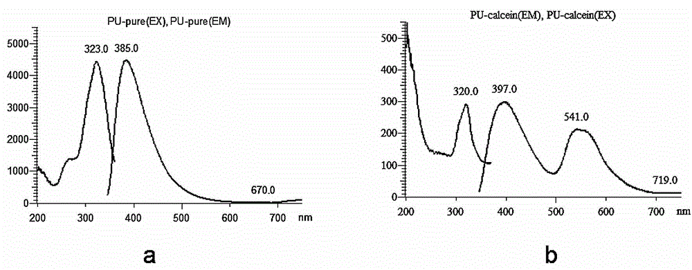 Fluorescent graft degradable block polyurethane, bone repair material and preparation method thereof