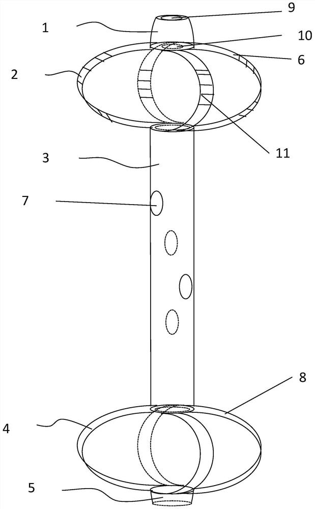 Bidirectional anti-displacement biliary drainage tube and implantation device