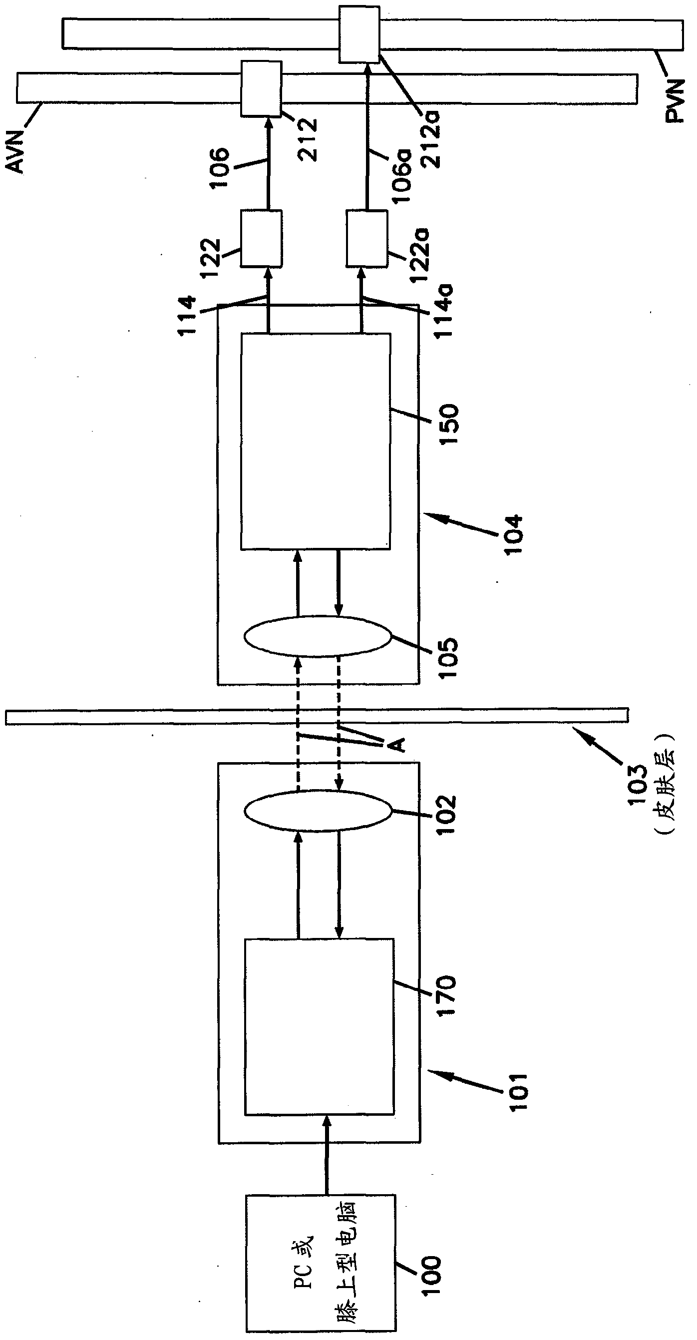 Devices for regulation of blood pressure and heart rate