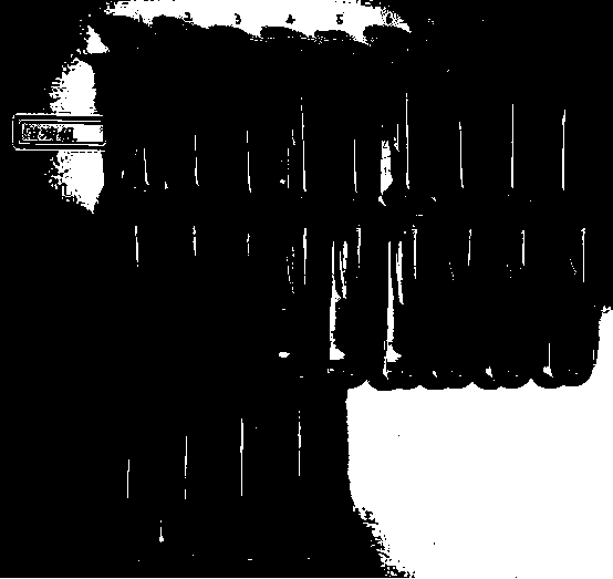 Compound povidone iodine composition and preparation method thereof