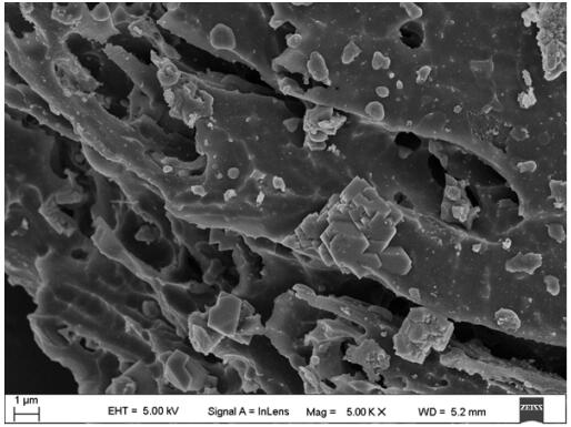 Preparation of biochar-based catalyst and method for repairing antibiotics by using biochar-based catalyst