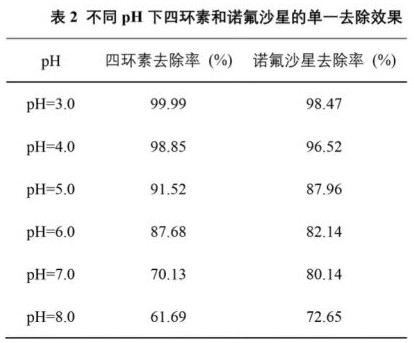 Preparation of biochar-based catalyst and method for repairing antibiotics by using biochar-based catalyst