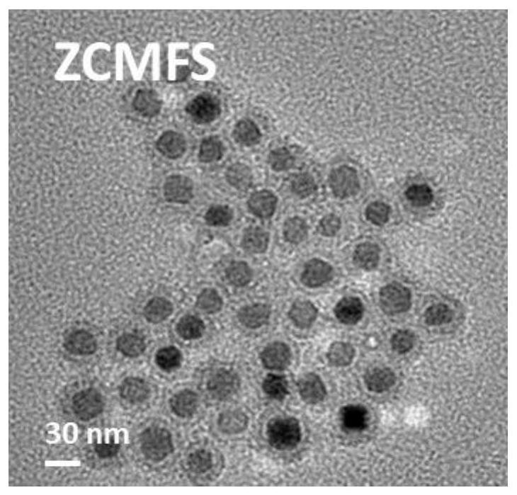 Tumor exosome detection reagent and detection method