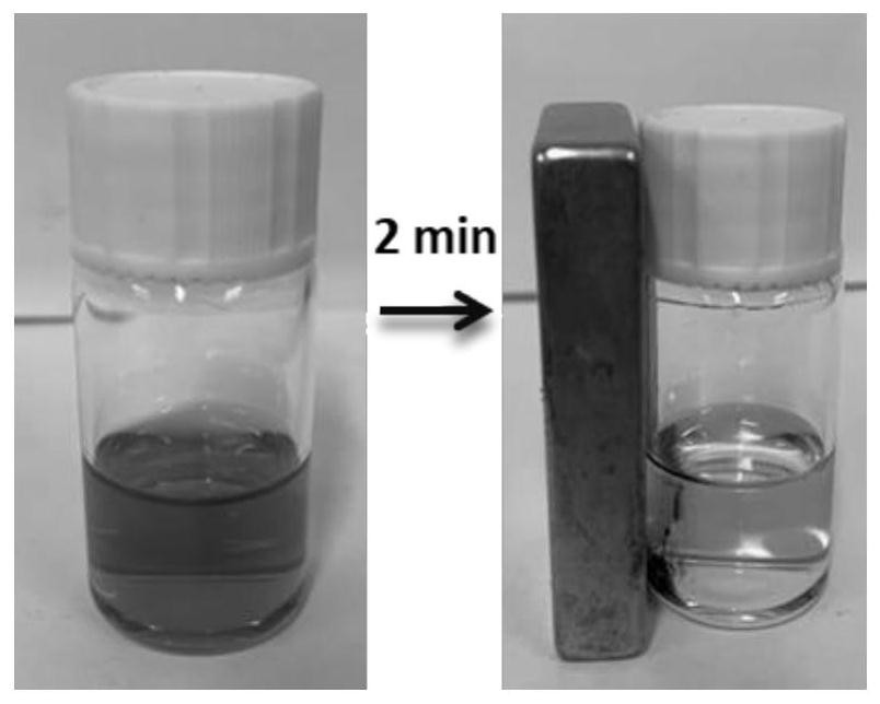 Tumor exosome detection reagent and detection method