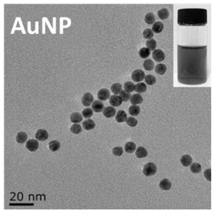 Tumor exosome detection reagent and detection method