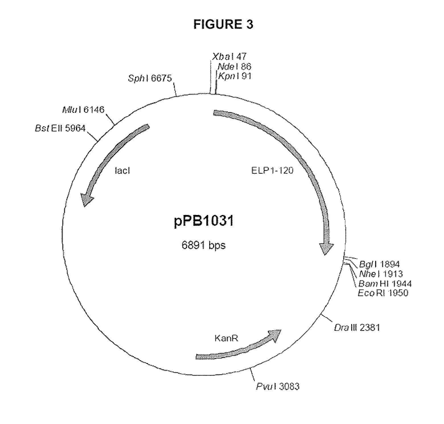 Modified vasoactive intestinal peptides