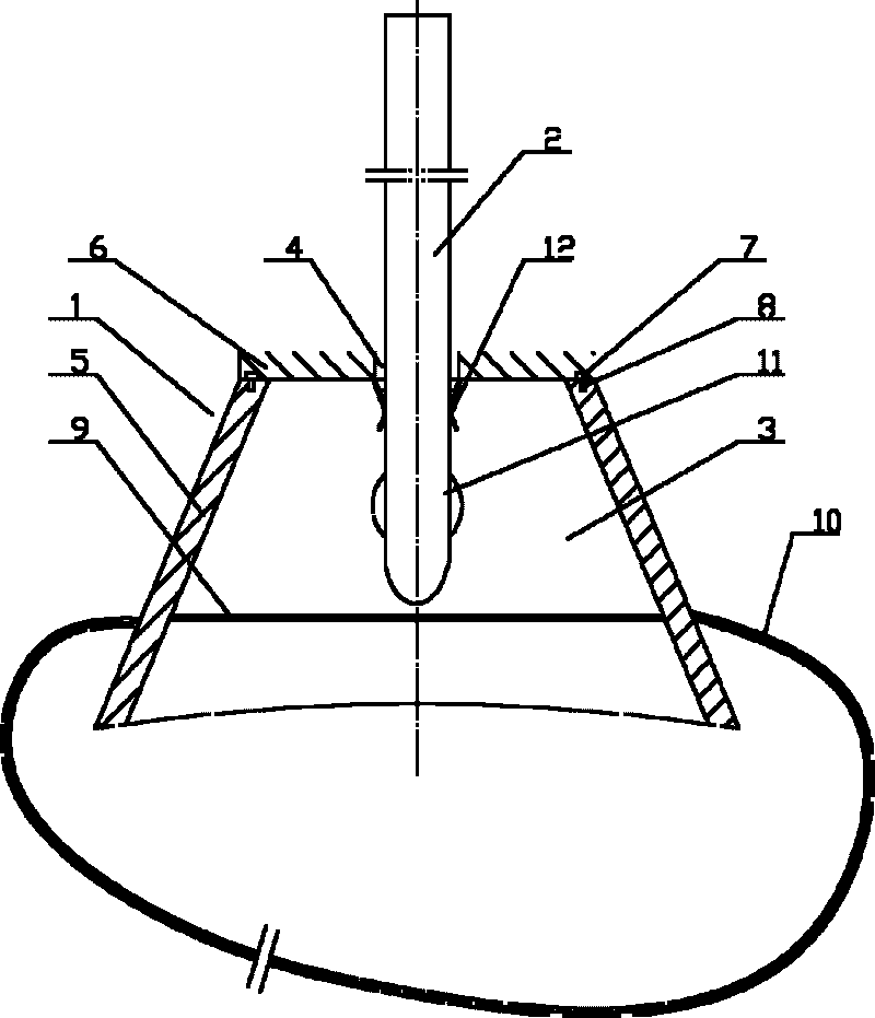 Device for fixing moxa stick