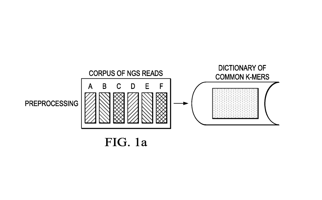 Quality score compression for improving downstream genotyping accuracy