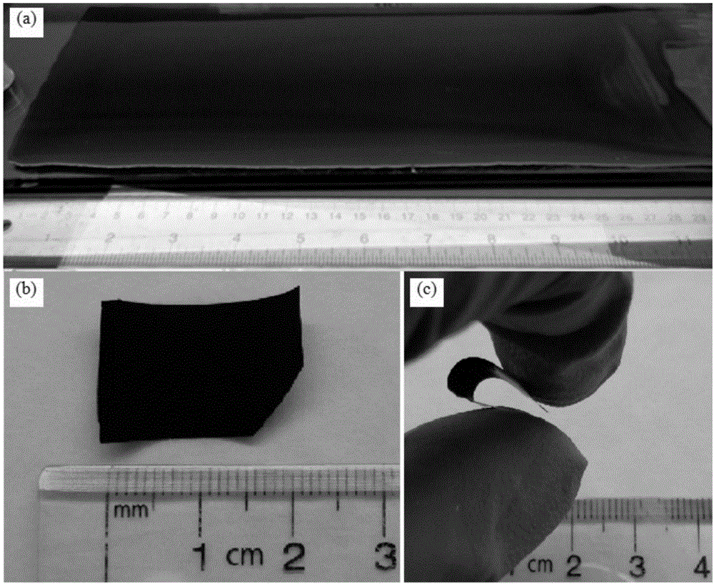 Porous carbon films