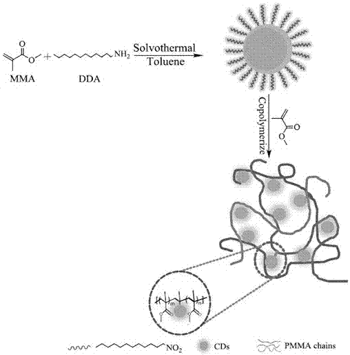 Oil-solubility carbon quantum dots (OCDs), PMMA-coated OOCDs, and preparation method and application thereof