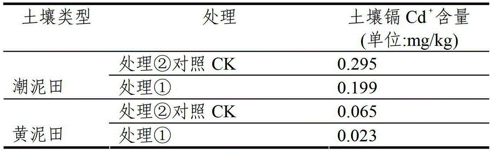 Cadmium pollution bioremediation agent and its preparation method and application