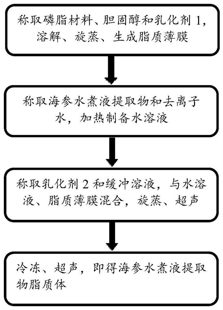 Liposome loaded with sea cucumber boiled liquid extract and preparation method thereof