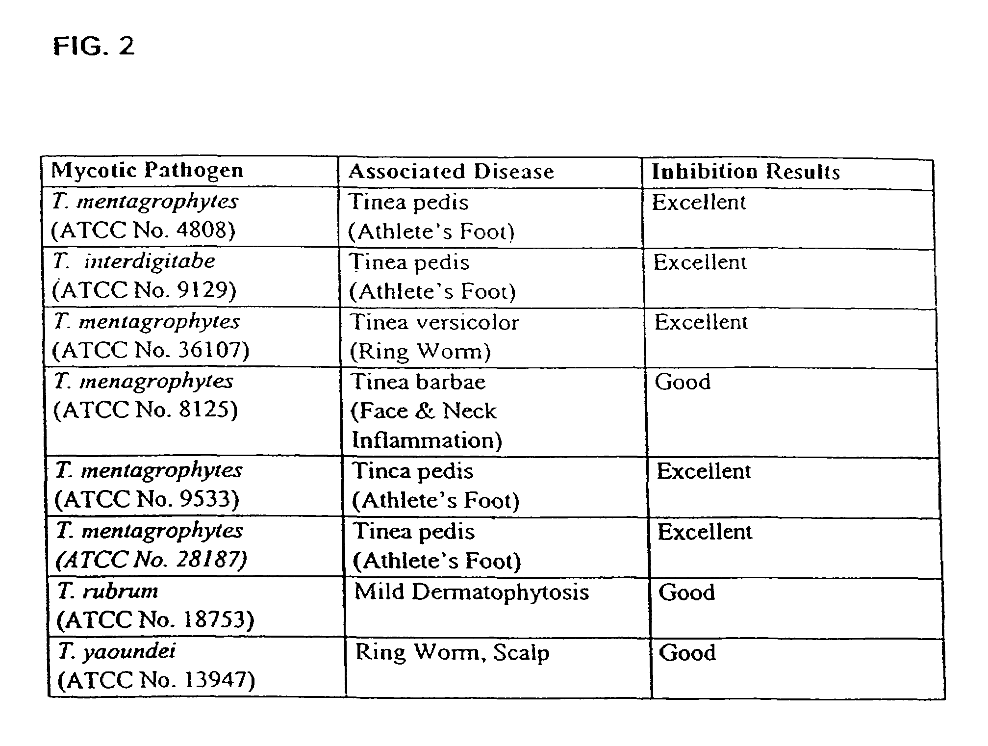 Probiotic, lactic acid-producing bacteria and uses thereof